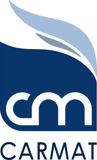 Carmat logo